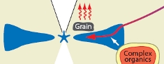 complex molecules