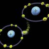Free Radicals